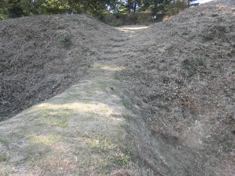 CIMG7459