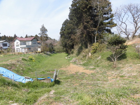 CIMG0503