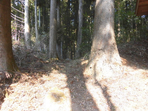 CIMG0291