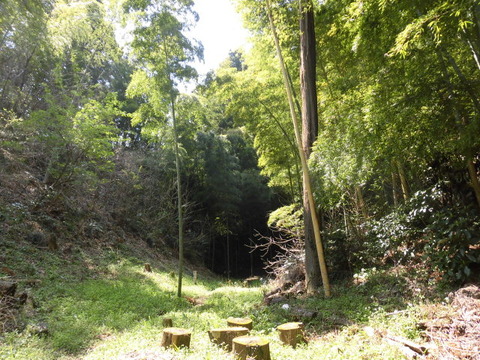 CIMG0530