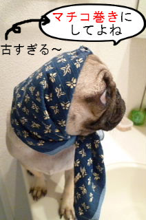 BlogPaint