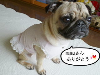 BlogPaint