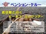 11.12.10-0 ¥Ó¡¼¥Á¥³¡¼¥ß¥ó¥°¡Ê¾®¡Ë