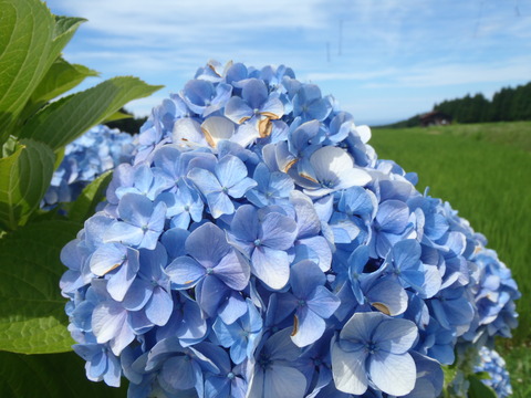 2012.07.17 Photo-02