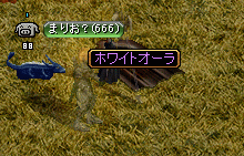 63d7e65e.gif