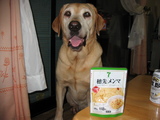 メンマ