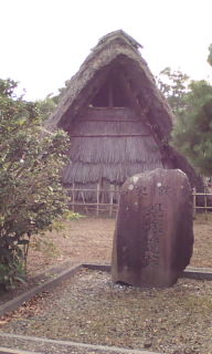 3b05f14c.jpg