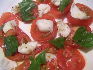 pitta1