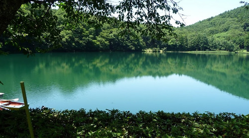 shibireko1
