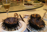 uni