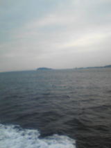 0668b6d4.jpg