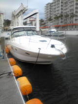 0ed9760e.jpg