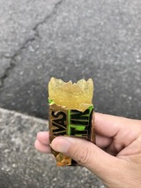 IMG_5231 - コピー