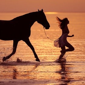 HORSE 0510 LADY 夕日 海