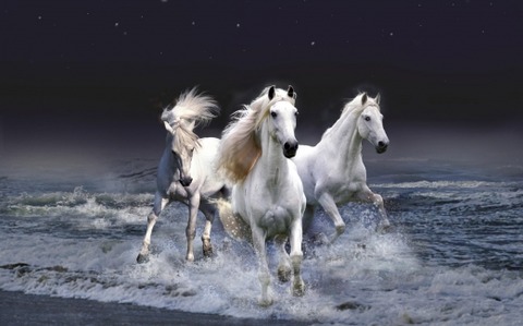 Horses ランニング