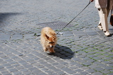 140a0d34.JPG
