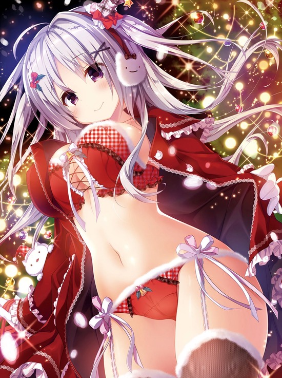 【２次】可愛いサンタっ娘の二次画像【非18禁・サンタっ娘】