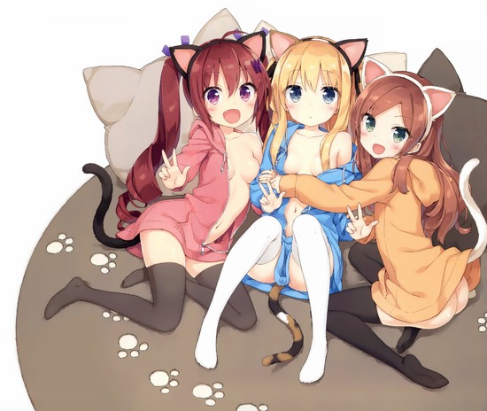 【2次】甘えられたい猫耳っ娘の可愛い二次エロ画像　その１０【猫耳っ娘】