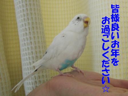 りょうくん