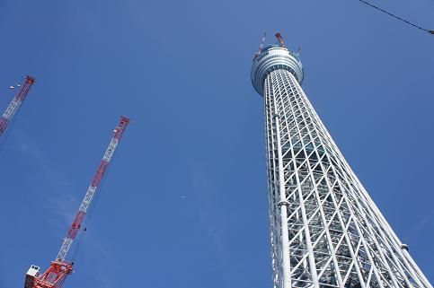 みな口を開けて見上げる