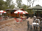 z-dogcafe