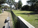 20060924syowa03