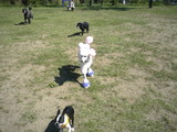 20060924syowa07