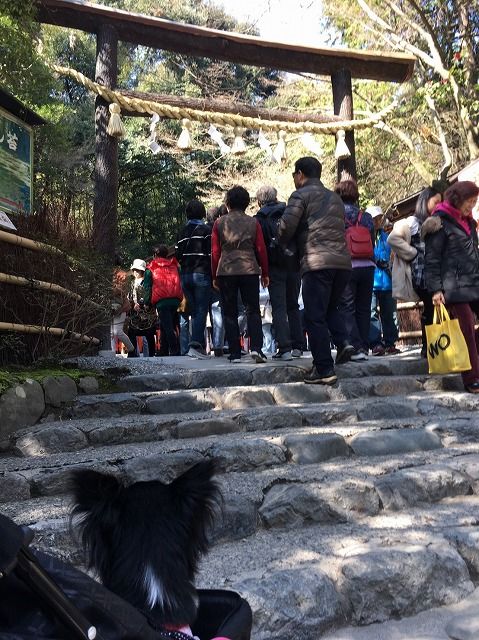 京都旅_50