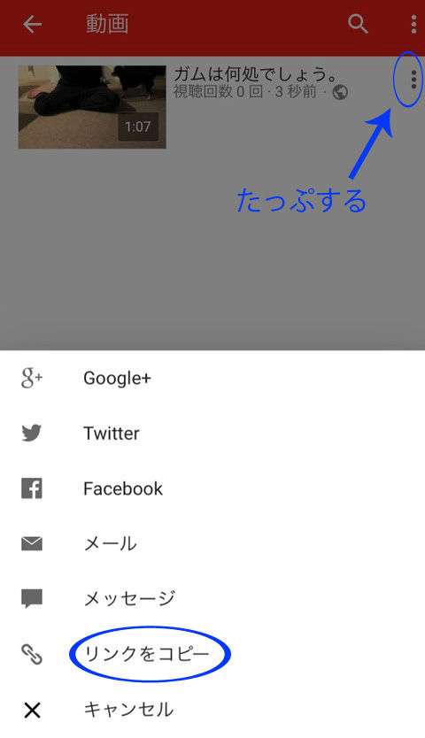 c13b76e1-s