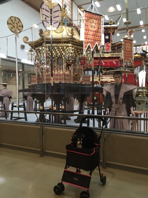 高山色々あったね旅_4368