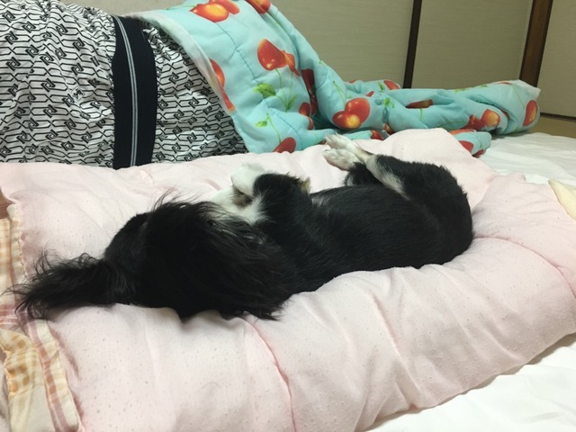 和歌山1日目_135