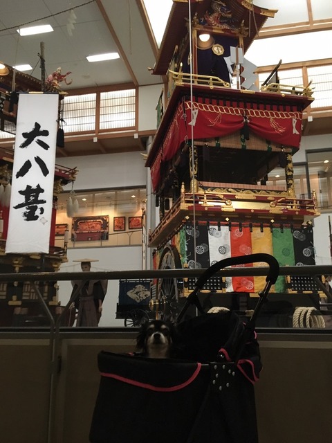 高山色々あったね旅_6446