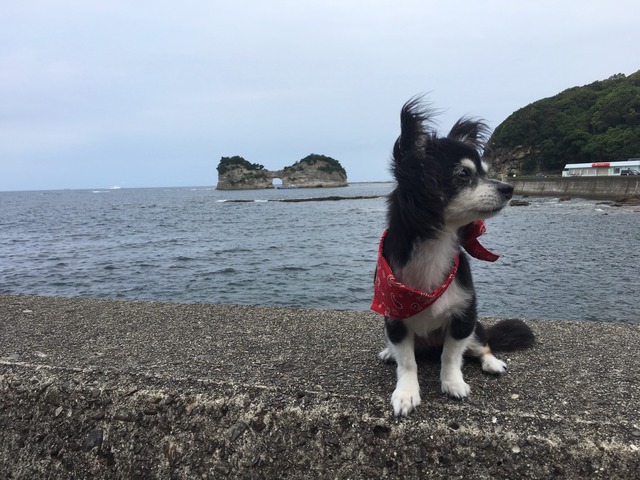 和歌山2日目_56