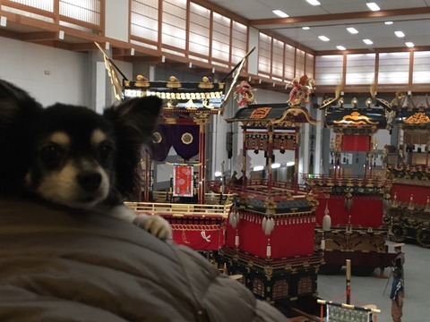 高山色々あったね旅_7654