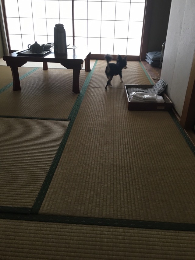 和歌山1日目_105