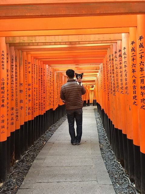 京都旅_20