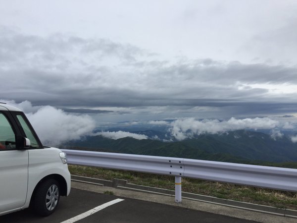 Ci-PLAHVEAA61kM