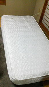 c3603788.jpg