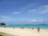 DSC05084