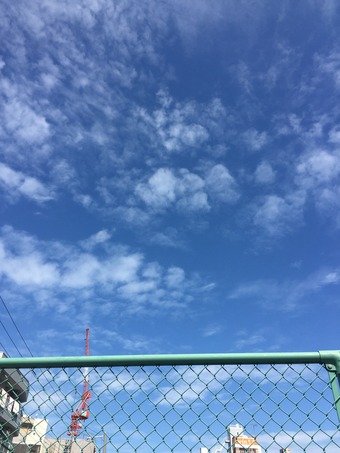 image1-1