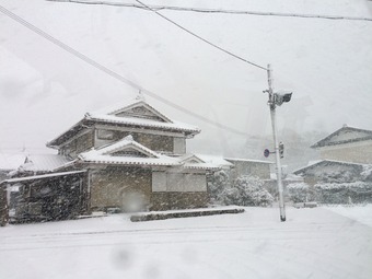 image15