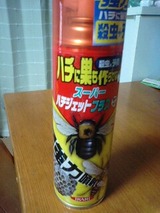 24a429bb.jpg