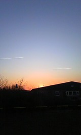 88f00138.jpg