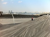 IMG_1329
