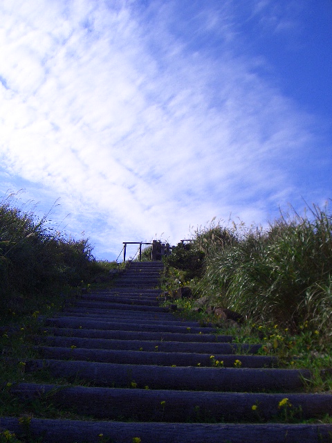 staircase to heaven. Stairs To Heaven. quot;stairs
