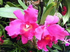 DSCF1286
