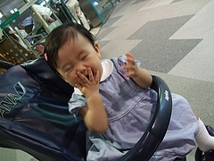 DSCF3247