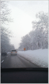 iwashi_1-27_10-snow