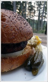5-1-10_burger