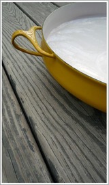 4-28-10_dansk